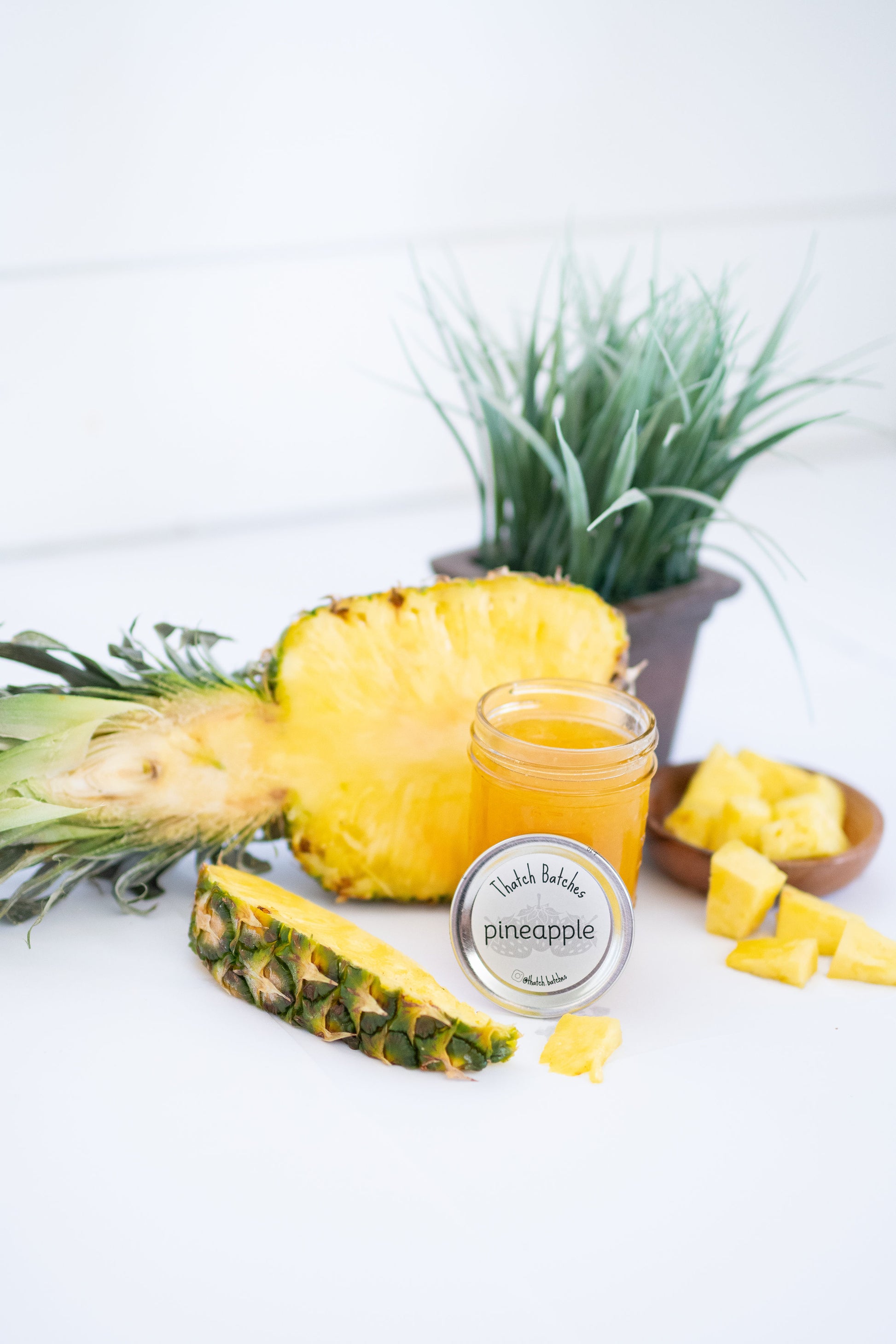 pineapple plant bromeliad Pineapple Jam: The Only Edible Bromeliad Jam – thatchbatches