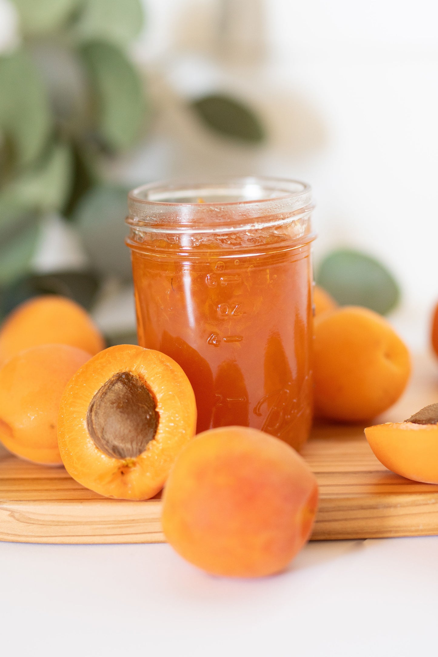 Apricot Jam: Ditch the Store Bought and Experience Reality