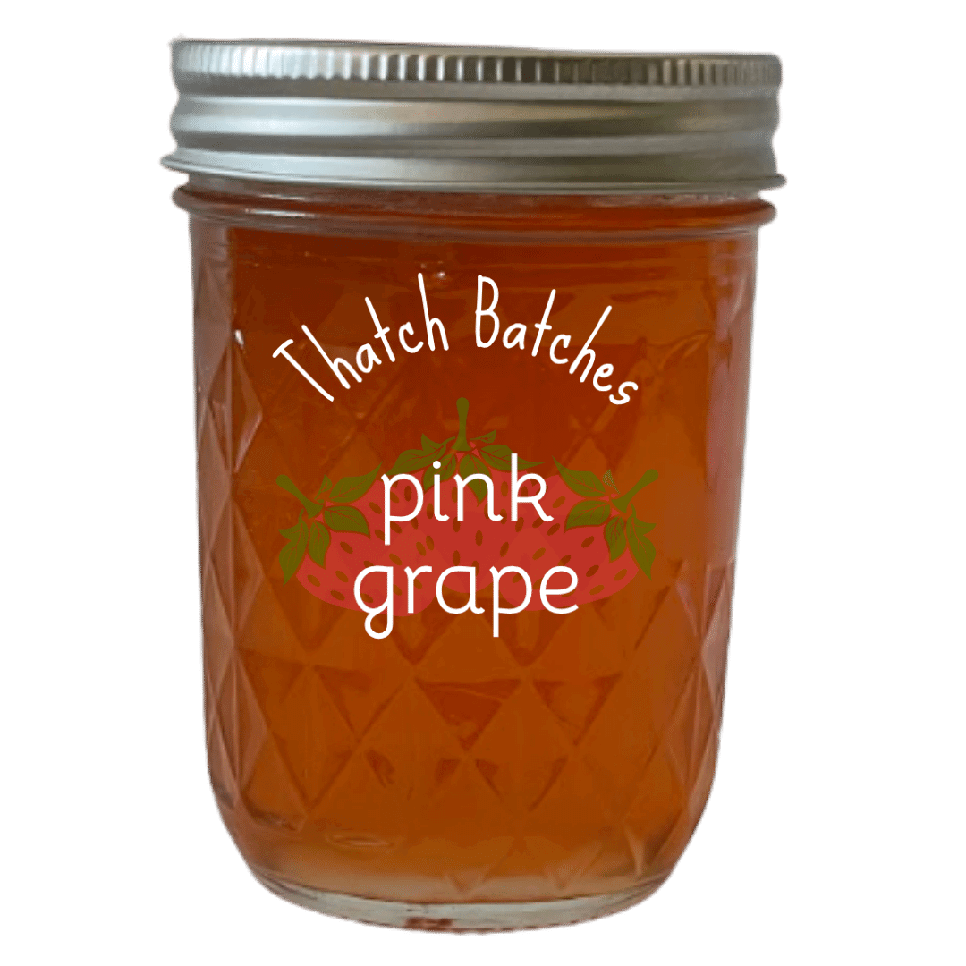 pink-grape-jelly-a-little-girl-s-dream-thatchbatches